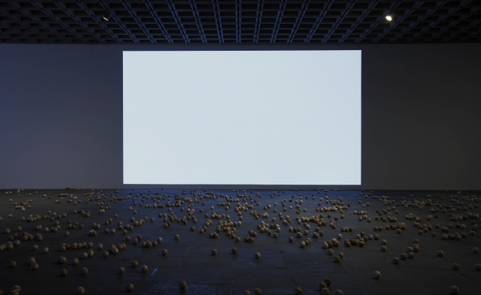 Lutz Bacher, Installation view, Whitney Biennial, 2012
