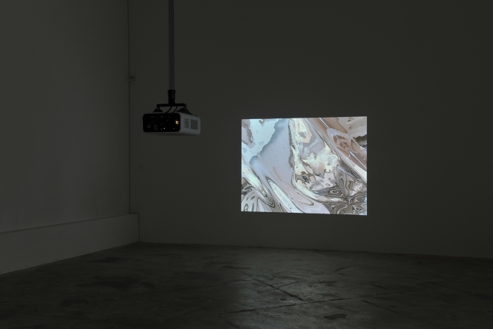 Installation view, Hilary Lloyd, Le Consortium, Dijon, 2009