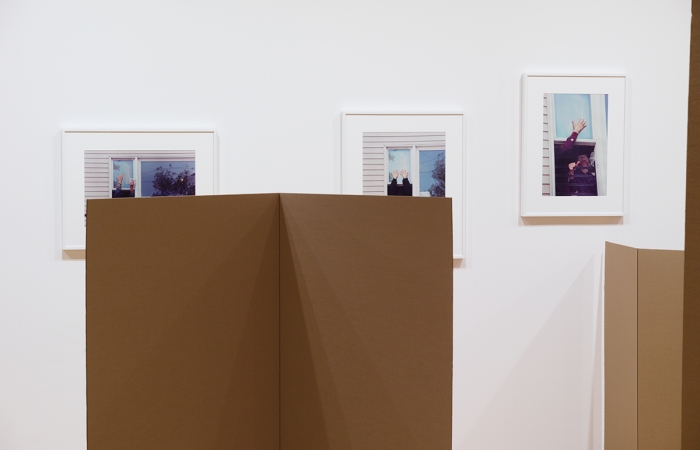 Rachel Harrison, Installation view, Rachel Harrison: Perth Amboy, curated by Paulina Pobocha, Museum of Modern Art, New York, 2016