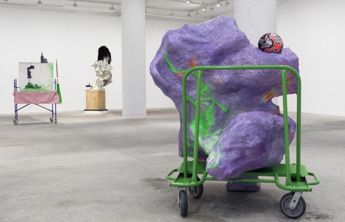Rachel Harrison, Installation view, Prasine, Greene Naftali, New York, 2017