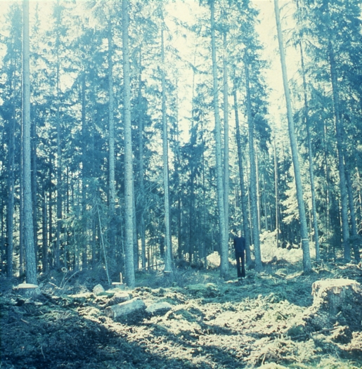 Bas Jan Ader, Untitled (Sweden), 1971, color slide, 6 x 6 cm