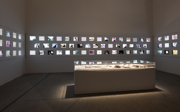 Installation view, All the World's Futures, curated by Okwui Enwezor, 56th Venice Biennial, Venice, 2015