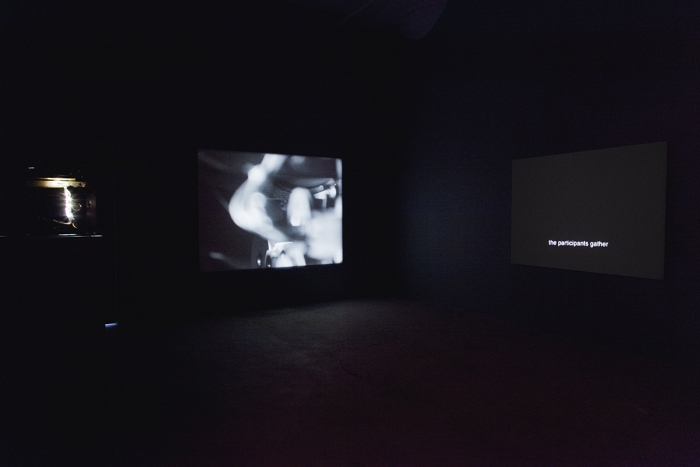 Installation view, Body Electric, Greene Naftali, New York, 2015