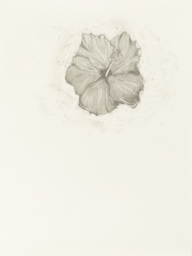 Mayo Thompson, Hibiscus, 2015