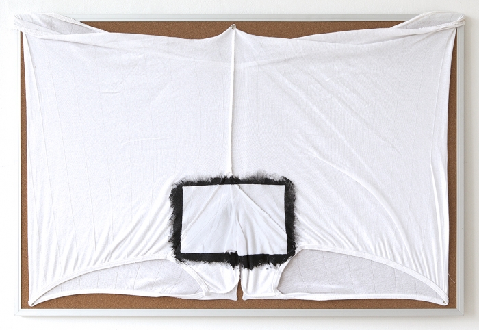Tony Conrad Untitled (looking swell, dear), 2009 Acrylic, underwear, bulletin board 24 x 36 inches (61 x 91.4 cm)