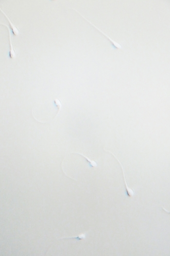 Carissa Rodriguez, Yesterday I tried to paint you (Untitled I), 2012 (detail)