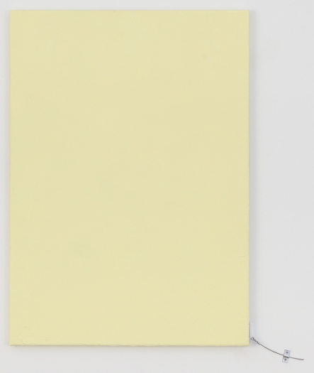 Monika Baer Untitled, 2018 Acrylic, quartz on canvas, aluminum 34 2/3 x 24 3/4 inches (88 x 63 cm)
