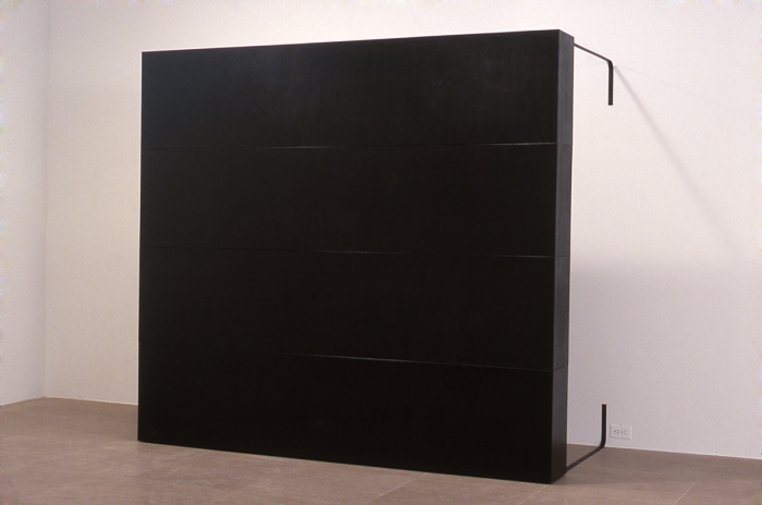 Tom Burr, The Oblong Box, 2001, wood, metal, plastic, 92 x 43 x 84 inches