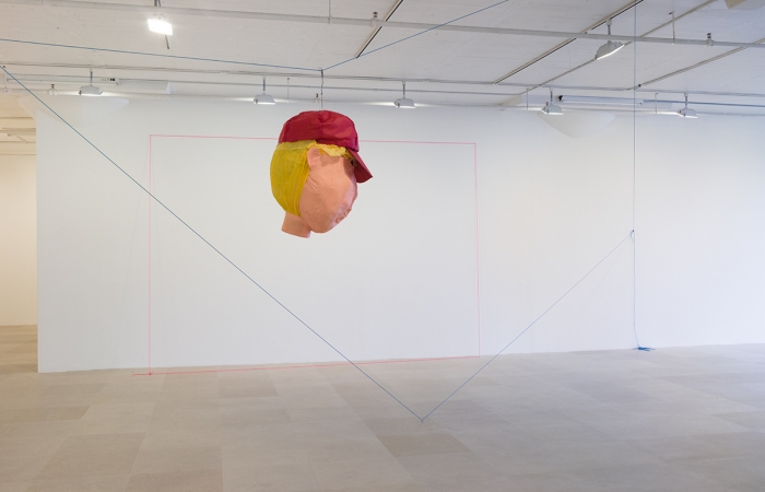 Rachel Harrison, Installation view, More News: A Situation, Greene Naftali, New York, 2016
