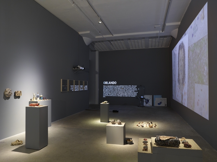 Installation view, Orlando, Greene Naftali, New York, 2015