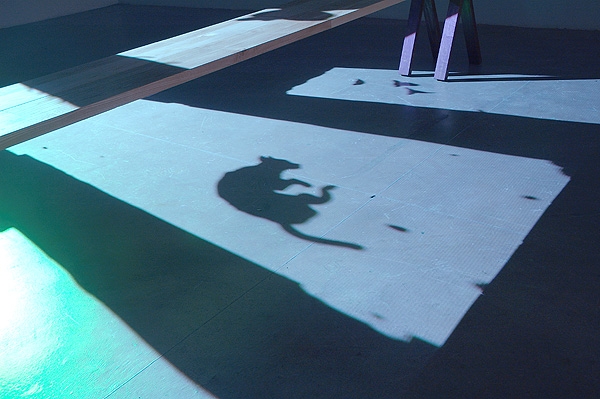 3rd Light, 2006, digital video projection, table