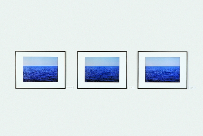 Claire Burrus, Sujet à discrétion (Subject to discretion), 1985