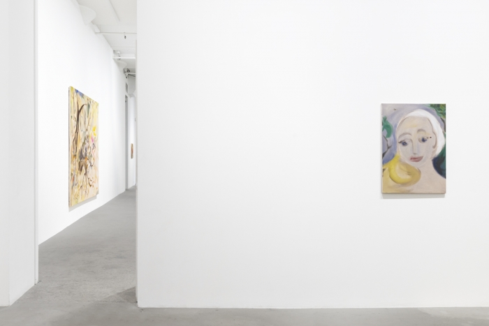 Sophie von Hellermann, Installation view, Ileden, 2019