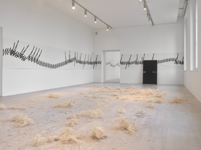 Lutz Bacher, Installation View, What’s Love Got to Do With It?, K21 Ständehaus, Düsseldorf, 2018