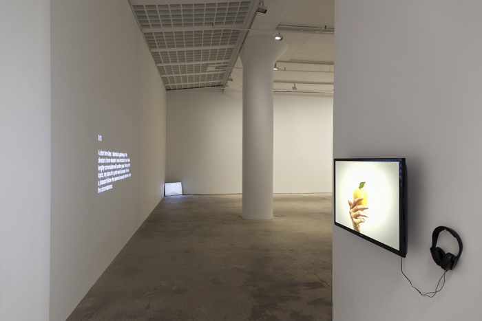 John Knight, Installation view, in situ, Greene Naftali, New York, 2015