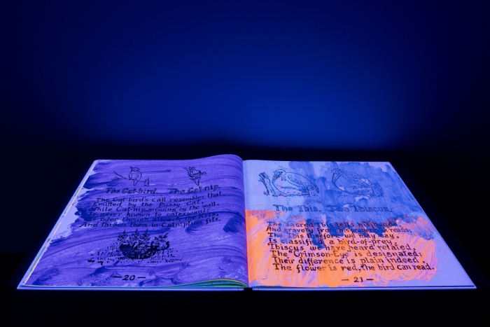 Jacqueline Humphries, Installation view Jacqueline Humphries, âContemporary Arts Center New Orleans, 2015
