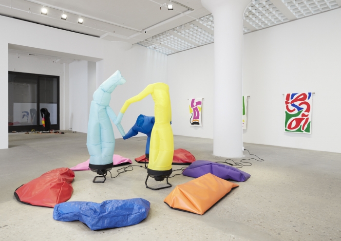 Paul Chan, Installation view, The Bather's Dilemma, Greene Naftali, New York, 2019