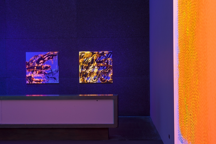 Jacqueline Humphries, Installation view, Carnegie Museum of Art, Pittsburgh, 2015