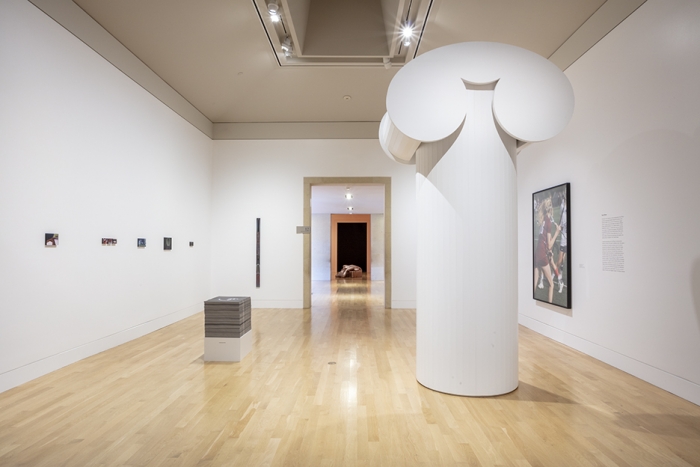 Made in L.A. 2020: a version, Hammer Museum, Los Angeles