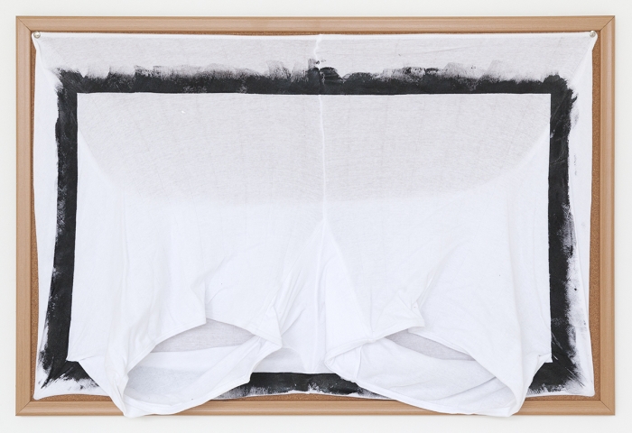 Tony Conrad Untitled (forgotten treasures), 2009 Acrylic, underwear, bulletin board 24 x 36 inches (61 x 91.4 cm)