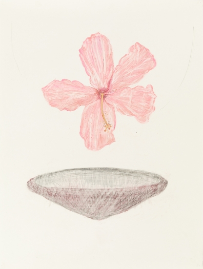 Mayo Thompson Hibiscus, 2015 Colored pencil on paper Paper: 39 7/8 x 30 inches (101.3 x 76.2 cm) Frame: 44 1/8 x 35 1/4 inches (112.1 x 89.5 cm)