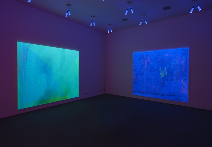 Jacqueline Humphries, Installation view, Carnegie Museum of Art, Pittsburgh, 2015
