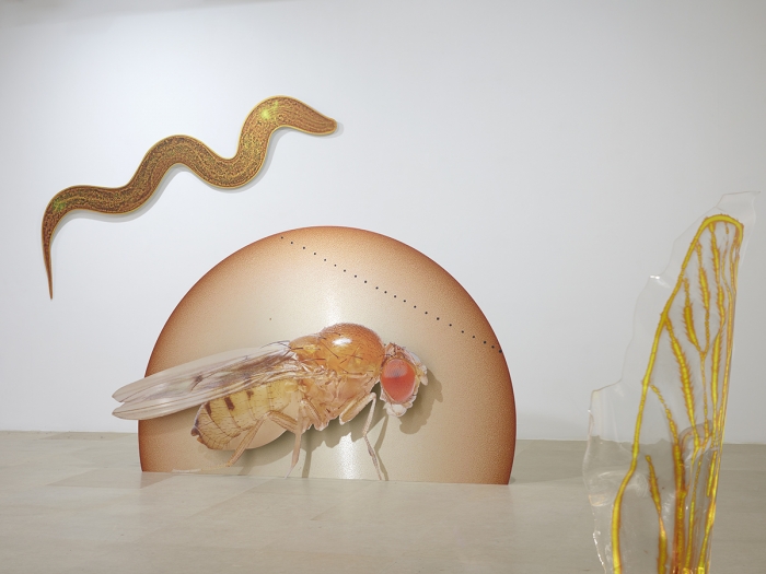 Katja Novitskova, Installation view, Approximation (Storm Time), Greene Naftali, New York, 2016