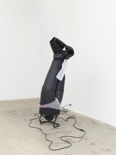 Paul Chan, Phenus 1, 2019