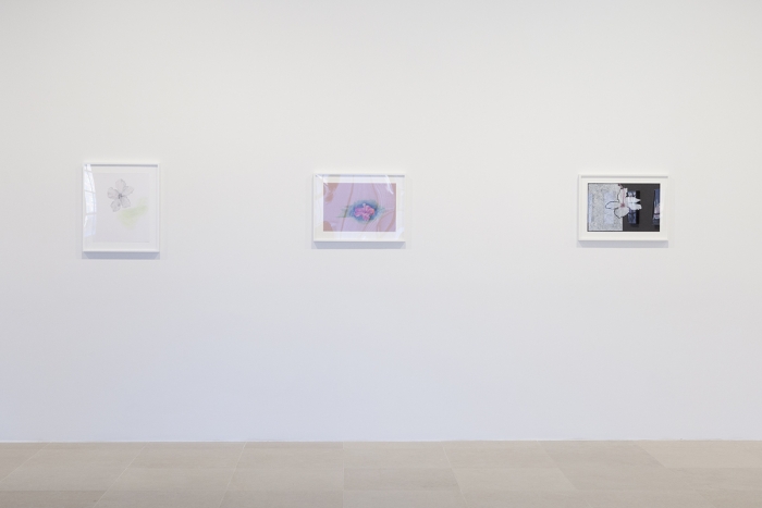 Mayo Thompson, Installation View, 8th Floor, Greene Naftali, New York, 2015