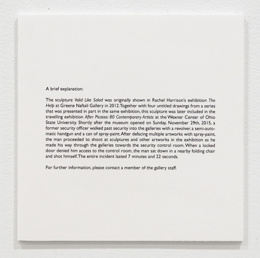 Rachel Harrison, Installation view, More News: A Situation, Greene Naftali, New York, 2016