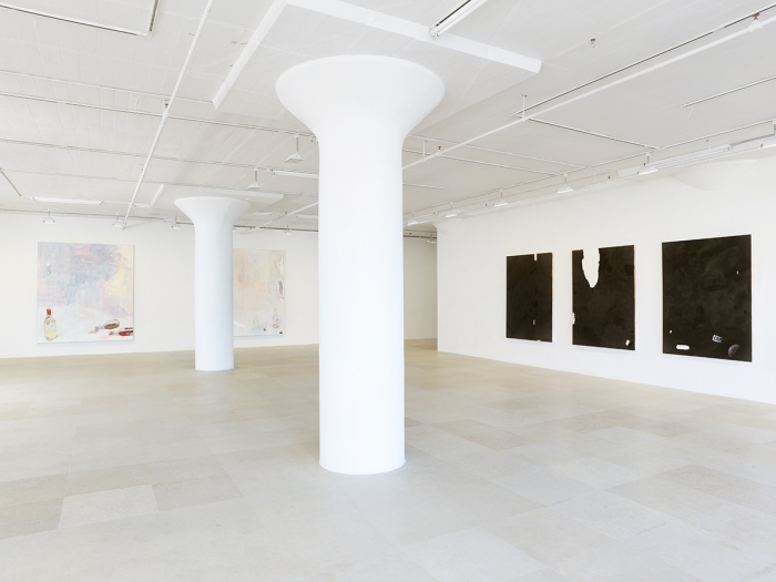 Monika Baer, Installation view, on hold, Greene Naftali, New York, 2015