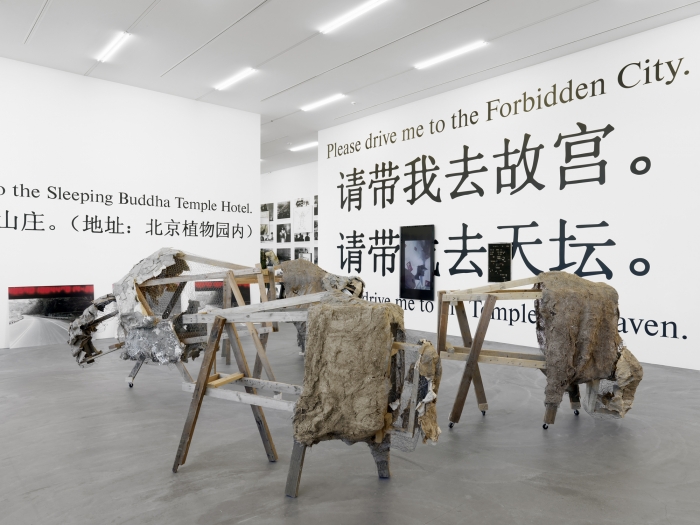 Lutz, Bacher, Installation view, Snow Kunsthalle Zurich, Zurich, 2013