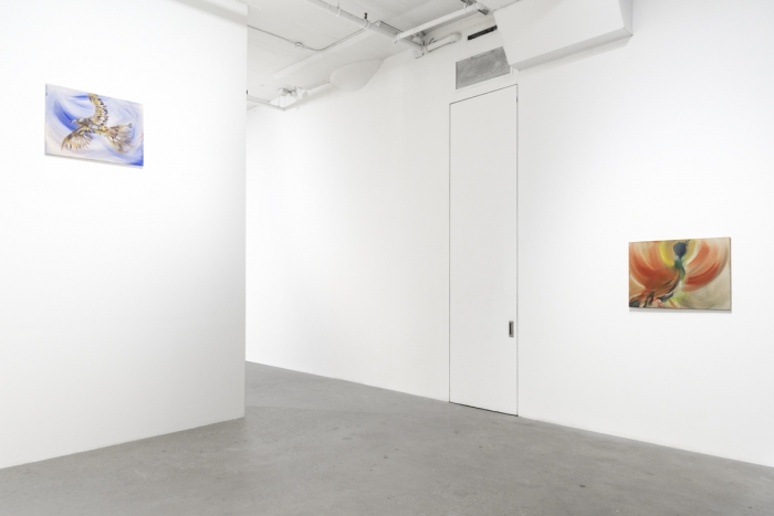 Sophie von Hellermann, Installation view, Ileden, 2019