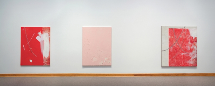Monika Baer, Installation view, Williams College Museum of Art, Williamstown, MA