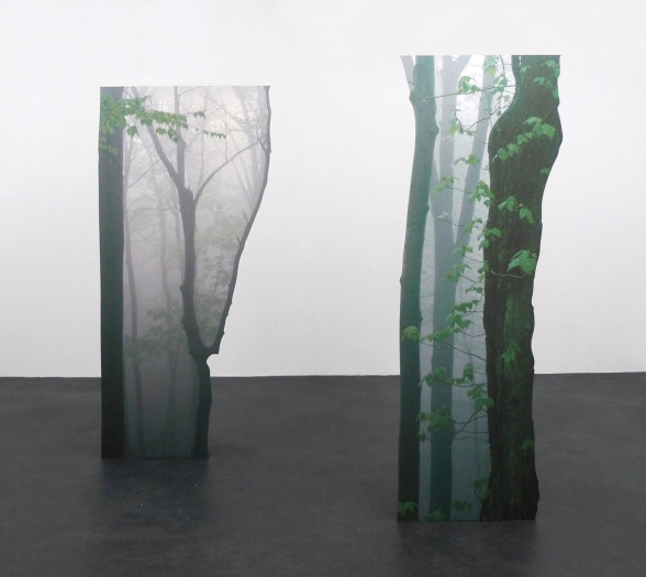 Branching VII, 2013 2 digital prints on aluminum, cutout display 220 x 104 x 35 cm, 220 x 82 x 35 cm