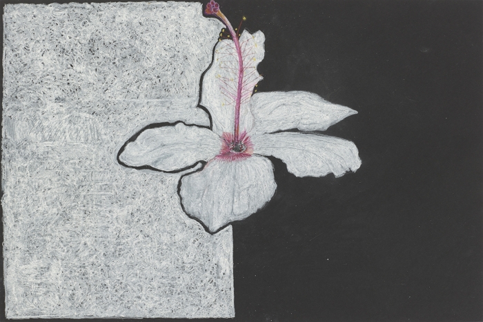 Mayo Thompson Hibiscus, 2015 Colored pencil on paper Paper: 12 x 17 inches (30.5 x 45.7 cm) Frame: 16 1/2 x 22 1/2 inches (41.9 x 57.2 cm)