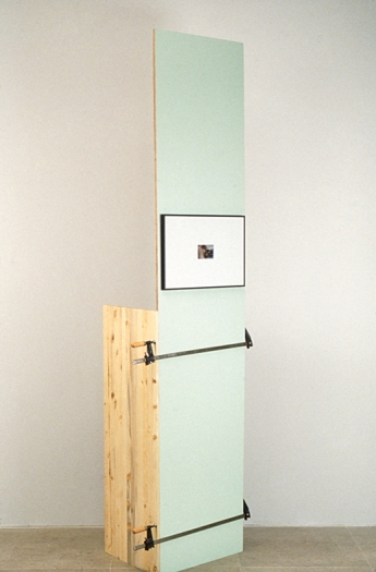 Rachel Harrison, Boise Cascade, 1997, mixed media, 95 1/2 x 21 1/4 x 17 inches
