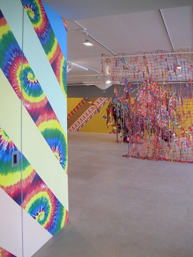 Installation view, I Would Gnaw on My Hand, Greene Naftali, New York, 2007