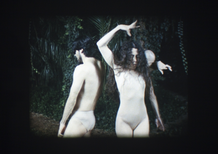 Reptile brain or reptile body, it's your animal, 2012 (still)