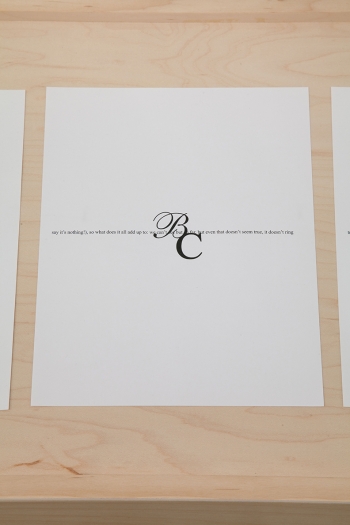 The Complete Poem, 2009, wood, plexi, and printed pages, from “A Billion and Change”, 33 1/4 x 96 x 17 1/4 inches