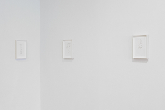 Knots, 2010
