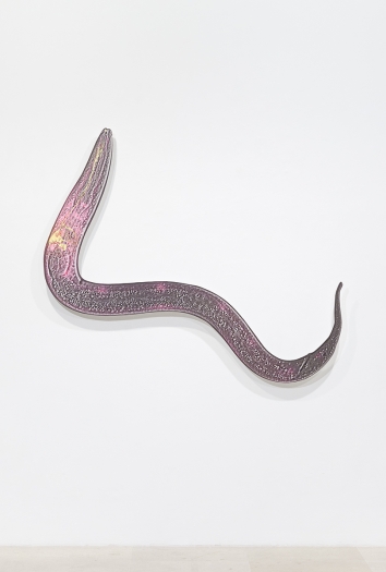 Katja Novitskova C. Elegans Potential (Mutant) , 2016 Digital print on aluminum, cutout display 58 x 75 x 2 1/2 inches (147.3 x 190.5 x 6.4 cm)