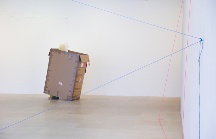 Rachel Harrison, Installation view, More News: A Situation, Greene Naftali, New York, 2016