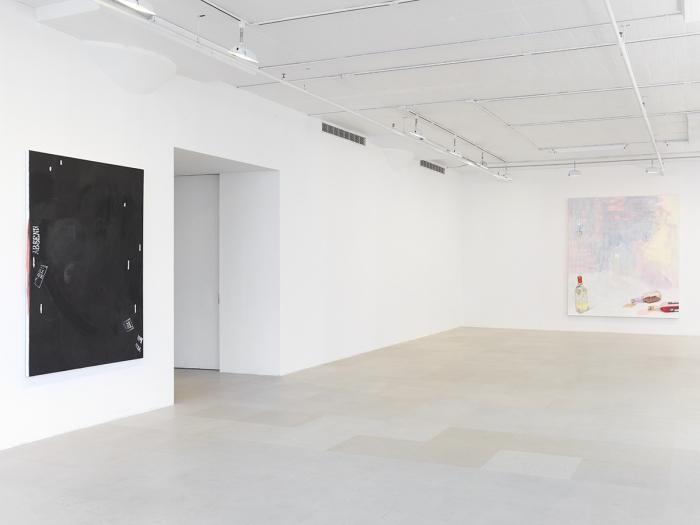 Monika Baer, Installation view, on hold, Greene Naftali, New York, 2015