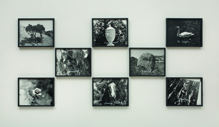 William Leavitt, Symbolic Objects, 1974/2008, Black & white photographs with acrylic ink, Overall: 33 3/4 x 71 7/8 inches (85.7 x 182.6 cm)