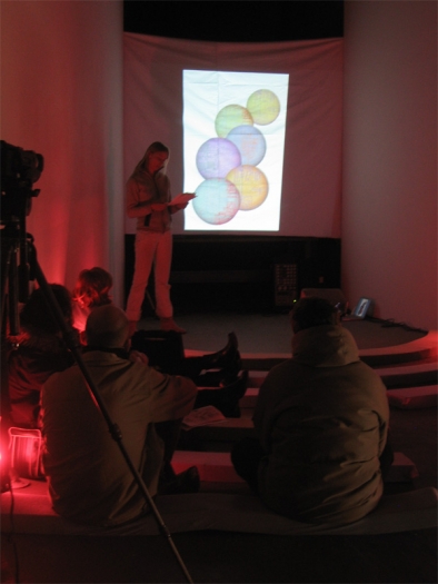 Fia Backström, In Memory of HERD INSTINCT 360º, Greene Naftali, New York, 2006