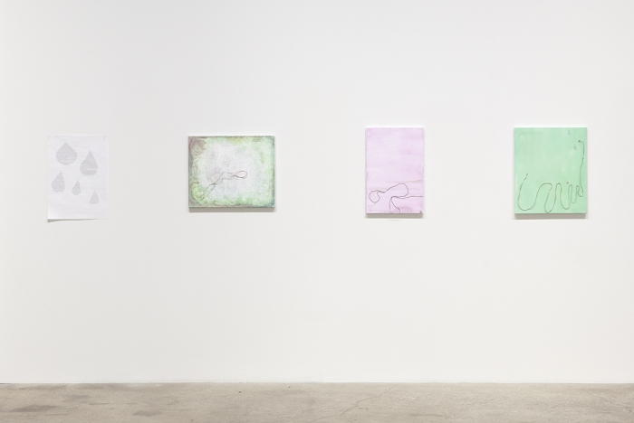 Installation view, Infected Foot, Greene Naftali, 2017