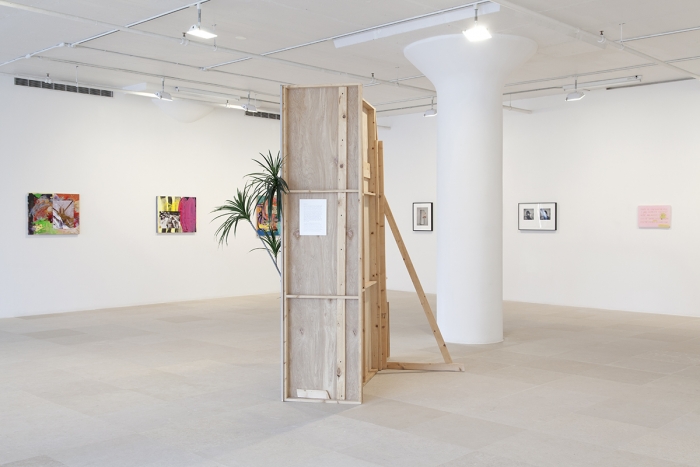 Installation view, Greene Naftali, New York, 2014
