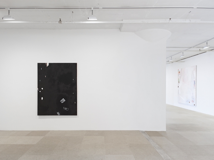 Monika Baer, Installation view, on hold, Greene Naftali, New York, 2015