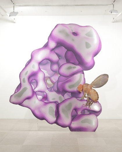 Katja Novitskova Storm Time Approximation (EM Map: Human, Drosophila), 2016 Digital print on 2 layers of aluminum, cutout display; plexiglass 116 1/8 x 105 1/2 x 36 1/2 inches (295 x 268 x 92.7 cm)